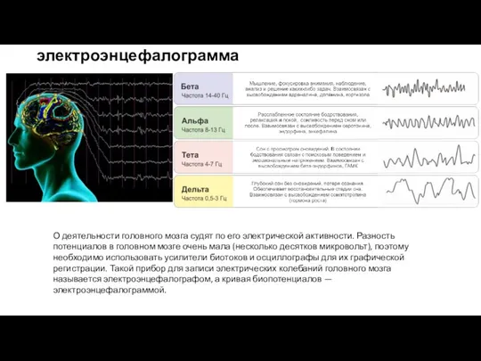 электроэнцефалограмма О деятельности головного мозга судят по его электрической активности. Разность потенциалов