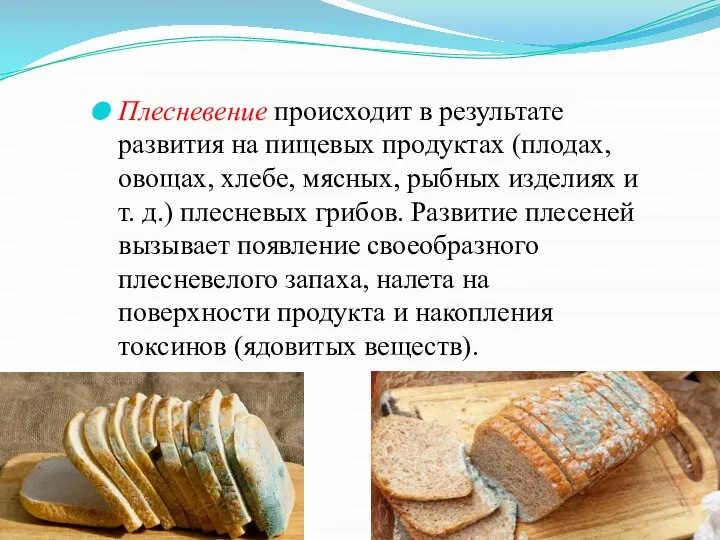 Плесневение происходит в результате развития на пищевых продуктах (плодах, овощах, хлебе, мясных,