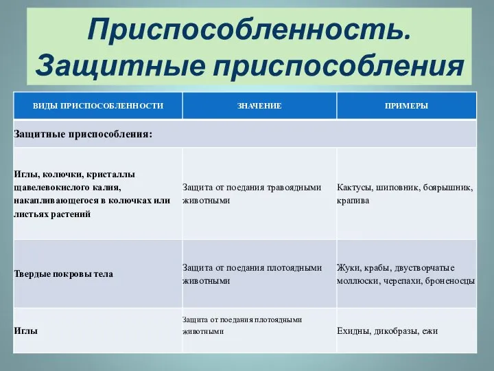 Приспособленность. Защитные приспособления