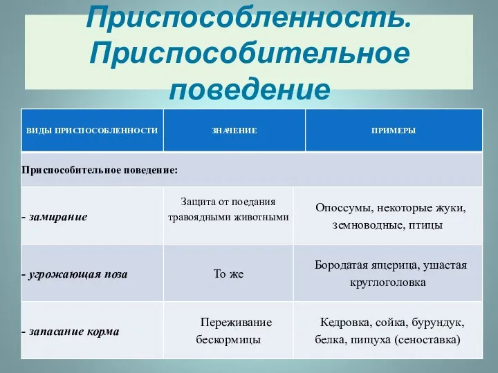 Приспособленность. Приспособительное поведение