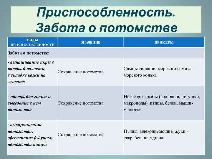 Приспособленность. Забота о потомстве