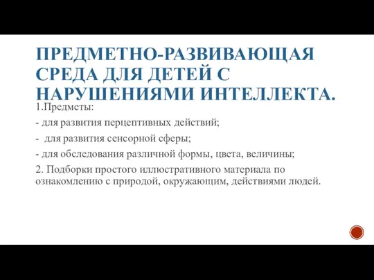 ПРЕДМЕТНО-РАЗВИВАЮЩАЯ СРЕДА ДЛЯ ДЕТЕЙ С НАРУШЕНИЯМИ ИНТЕЛЛЕКТА. 1.Предметы: - для развития перцептивных