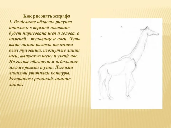 Как рисовать жирафа 1. Разделите область рисунка пополам: в верхней половине будет