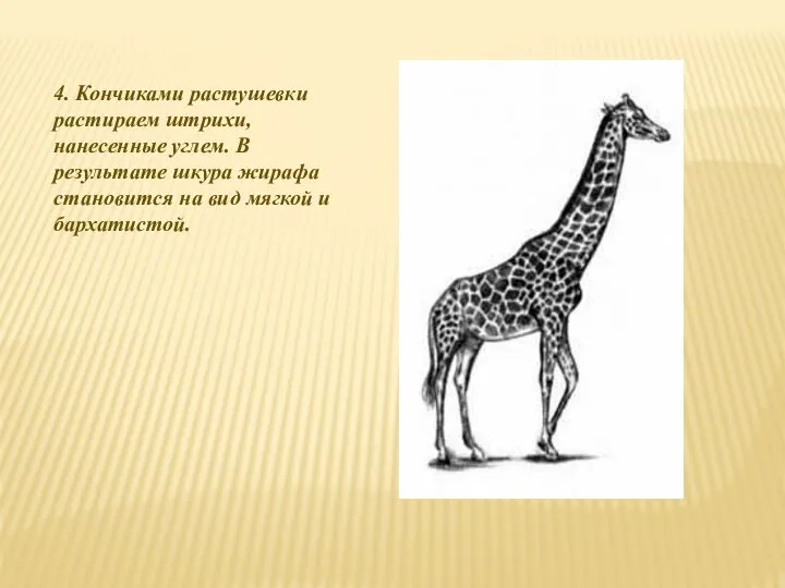 4. Кончиками растушевки растираем штрихи, нанесенные углем. В результате шкура жирафа становится