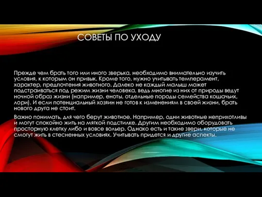 СОВЕТЫ ПО УХОДУ Прежде чем брать того или иного зверька, необходимо внимательно