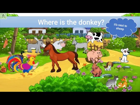 Where is the donkey? It’s next to sheep