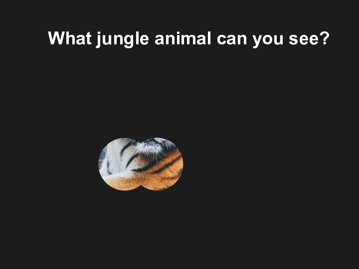 What jungle animal can you see?