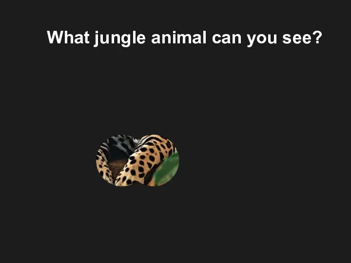 What jungle animal can you see?