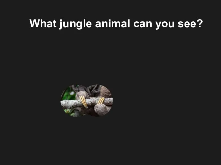 What jungle animal can you see?