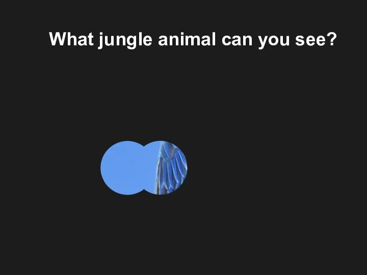 What jungle animal can you see?