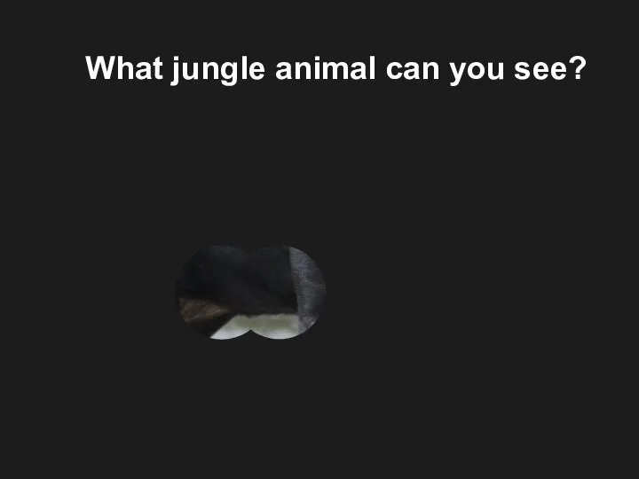 What jungle animal can you see?