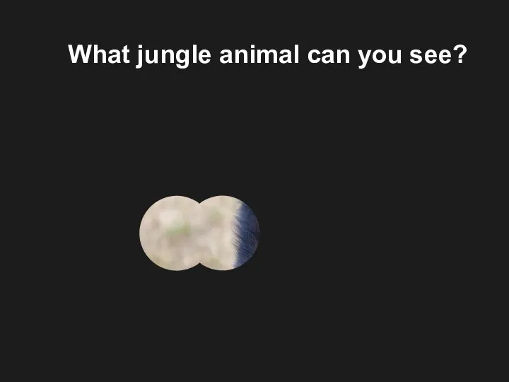 What jungle animal can you see?