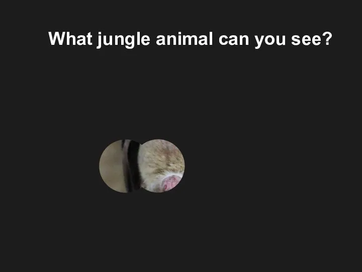 What jungle animal can you see?