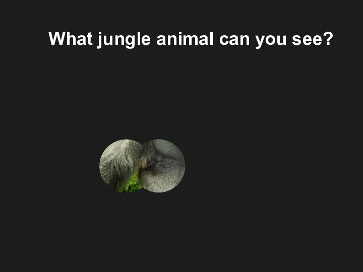 What jungle animal can you see?