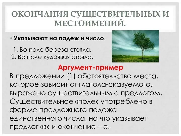 ОКОНЧАНИЯ СУЩЕСТВИТЕЛЬНЫХ И МЕСТОИМЕНИЙ. Указывают на падеж и число. 1. Во поле