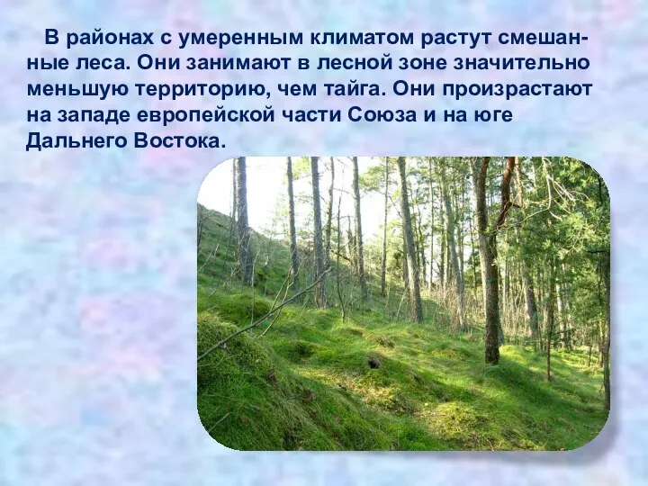 В районах с умеренным климатом растут смешан-ные леса. Они занимают в лесной