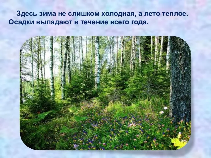 Здесь зима не слишком холодная, а лето теплое. Осадки выпадают в течение всего года.