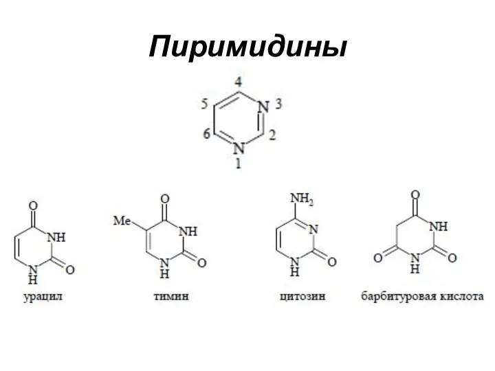 Пиримидины