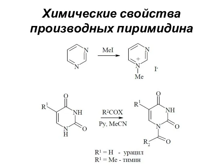 Химические свойства производных пиримидина