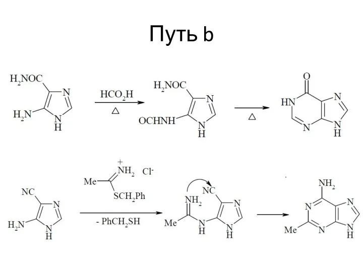 Путь b