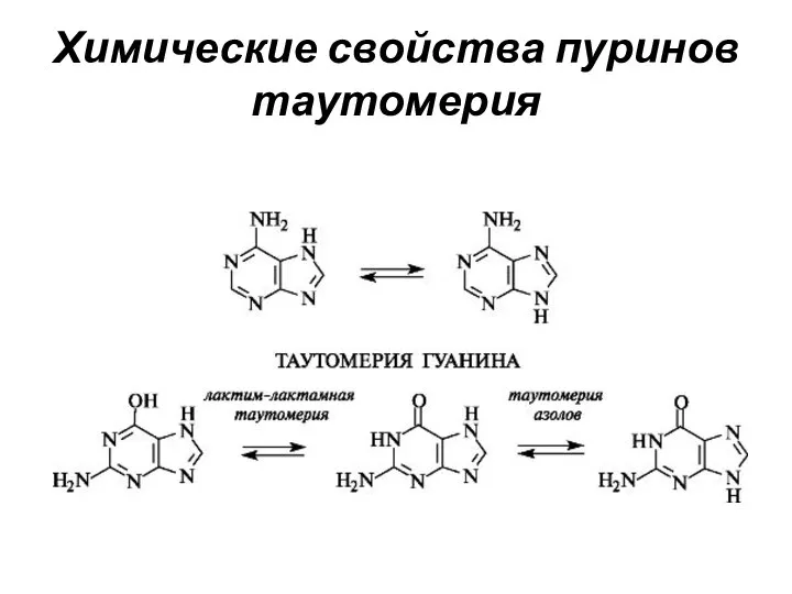 Химические свойства пуринов таутомерия