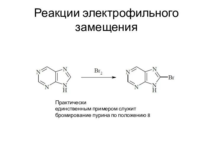 Реакции электрофильного замещения Практически единственным примером служит бромирование пурина по положению 8