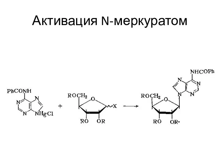 Активация N-меркуратом