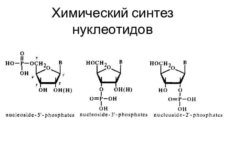 Химический синтез нуклеотидов