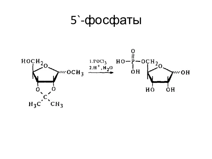 5`-фосфаты