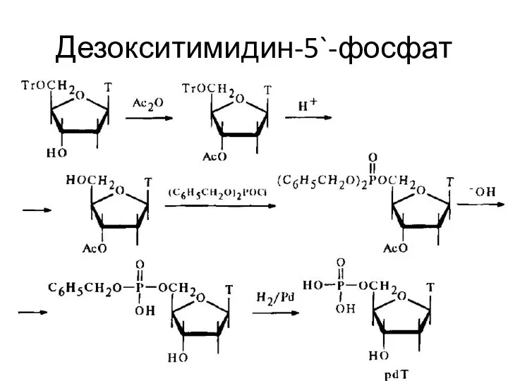 Дезокситимидин-5`-фосфат