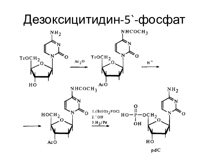 Дезоксицитидин-5`-фосфат