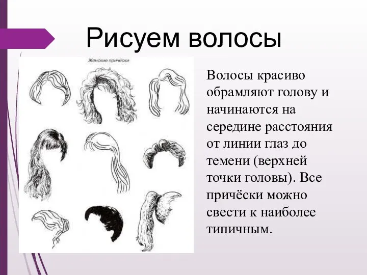 Рисуем волосы Волосы красиво обрамляют голову и начинаются на середине расстояния от