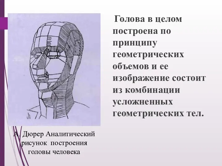 Голова в целом построена по принципу геометрических объемов и ее изображение состоит