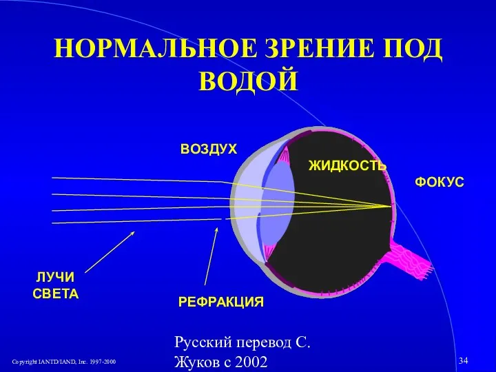 Русский перевод С. Жуков с 2002 НОРМАЛЬНОЕ ЗРЕНИЕ ПОД ВОДОЙ