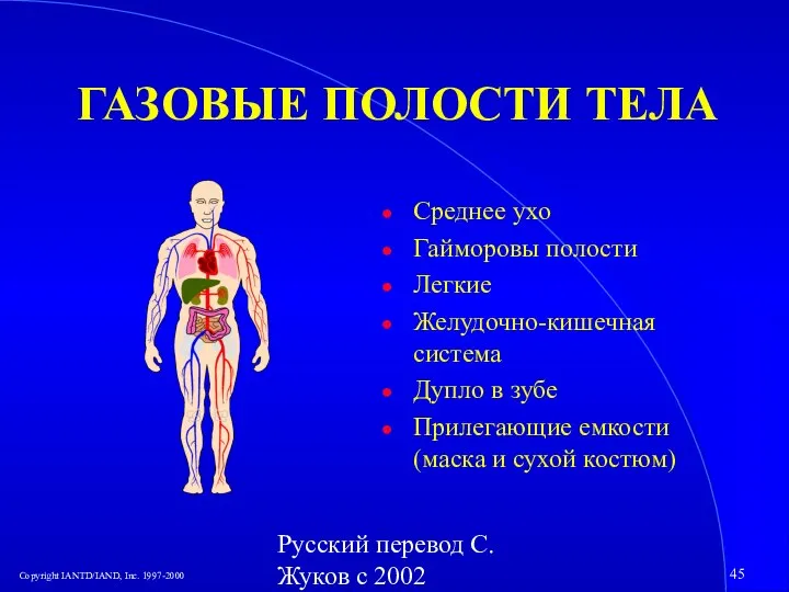 Русский перевод С. Жуков с 2002 ГАЗОВЫЕ ПОЛОСТИ ТЕЛА Среднее ухо Гайморовы