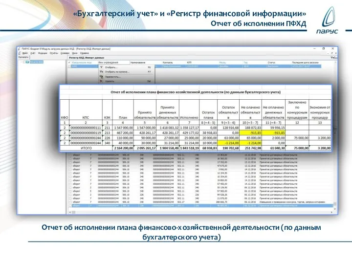 Отчет об исполнении плана финансово-хозяйственной деятельности (по данным бухгалтерского учета) «Бухгалтерский учет»