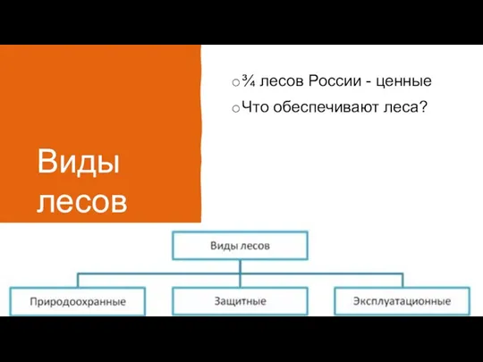 Виды лесов ¾ лесов России - ценные Что обеспечивают леса?