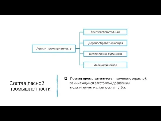 Состав лесной промышленности Лесная промышленность – комплекс отраслей, занимающийся заготовкой древесины механическим и химическим путём.