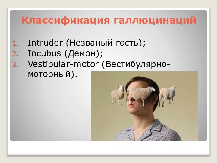 Классификация галлюцинаций Intruder (Незваный гость); Incubus (Демон); Vestibular-motor (Вестибулярно-моторный).