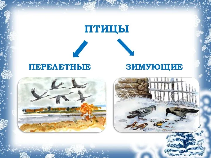 ПЕРЕЛЕТНЫЕ ЗИМУЮЩИЕ ПТИЦЫ