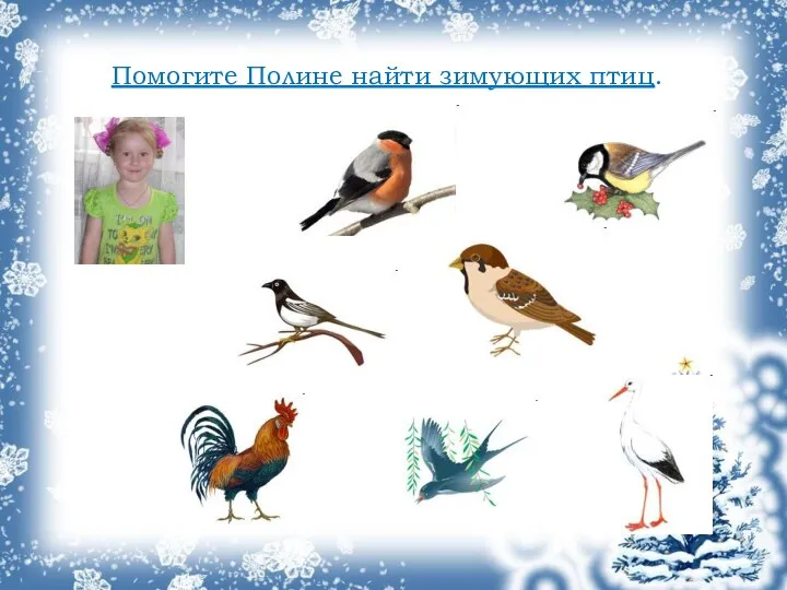 Помогите Полине найти зимующих птиц.