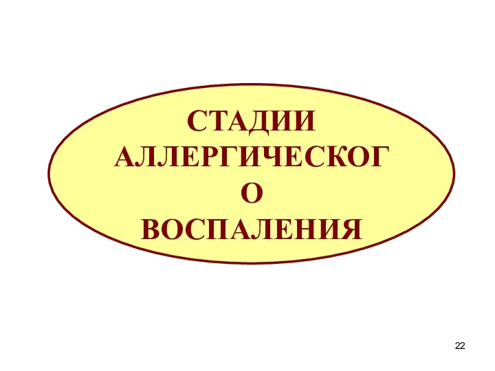 СТАДИИ АЛЛЕРГИЧЕСКОГО ВОСПАЛЕНИЯ