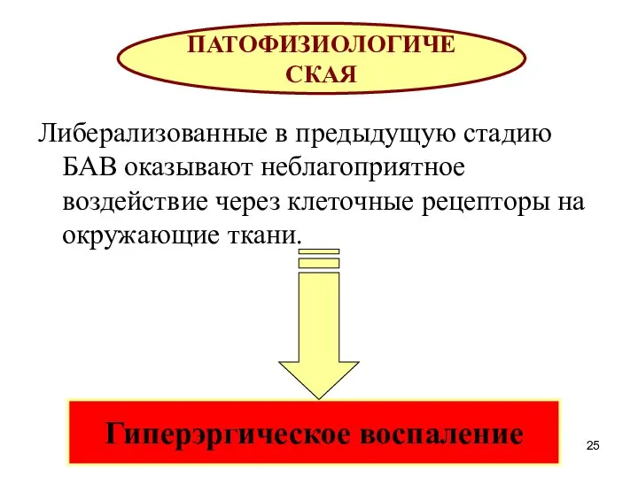 Либерализованные в предыдущую стадию БАВ оказывают неблагоприятное воздействие через клеточные рецепторы на