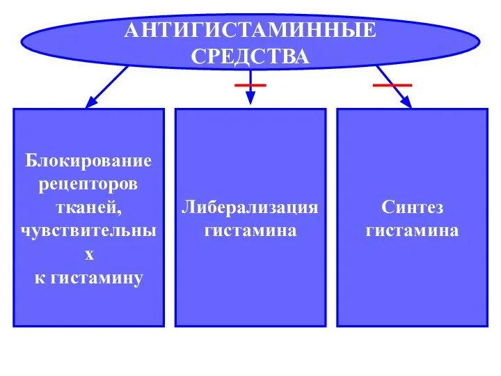 АНТИГИСТАМИННЫЕ СРЕДСТВА Блокирование рецепторов тканей, чувствительных к гистамину Либерализация гистамина Синтез гистамина