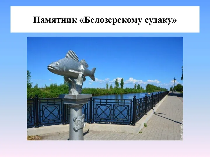 Памятник «Белозерскому судаку»