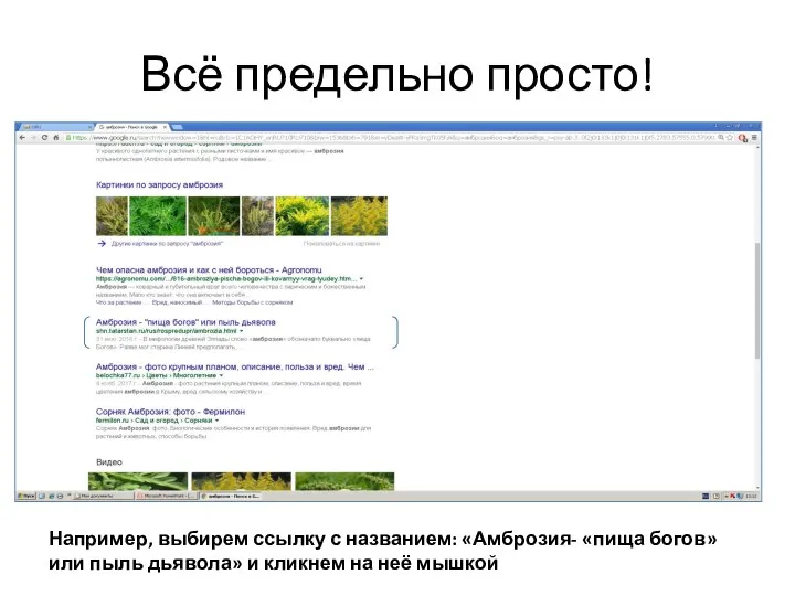 Всё предельно просто! Например, выбирем ссылку с названием: «Амброзия- «пища богов» или