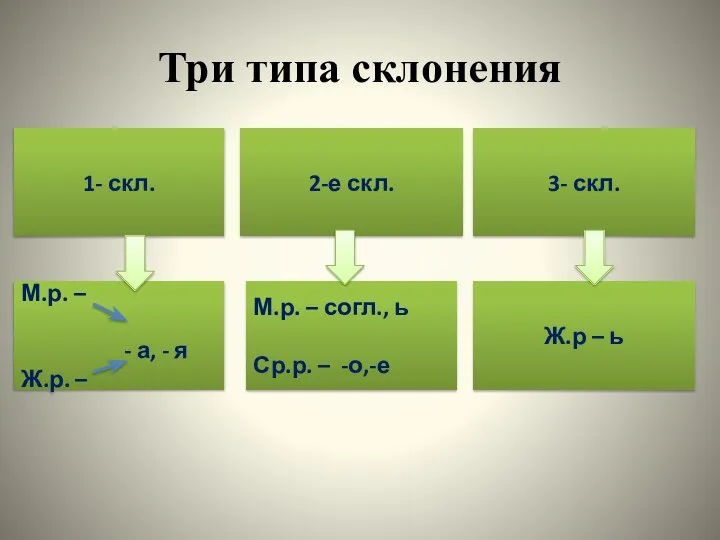 Три типа склонения 1- скл. М.р. – - а, - я Ж.р.