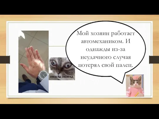 Мой хозяин работает автомехаником. И однажды из-за неудачного случая потерял свой палец.