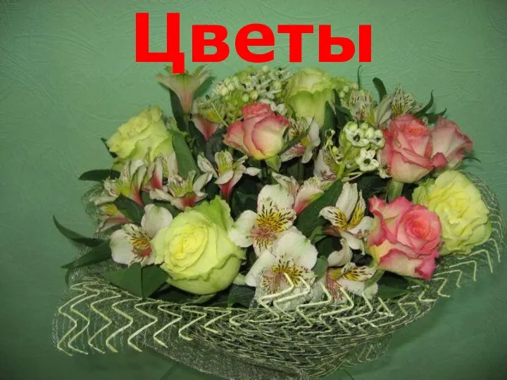 Цветы