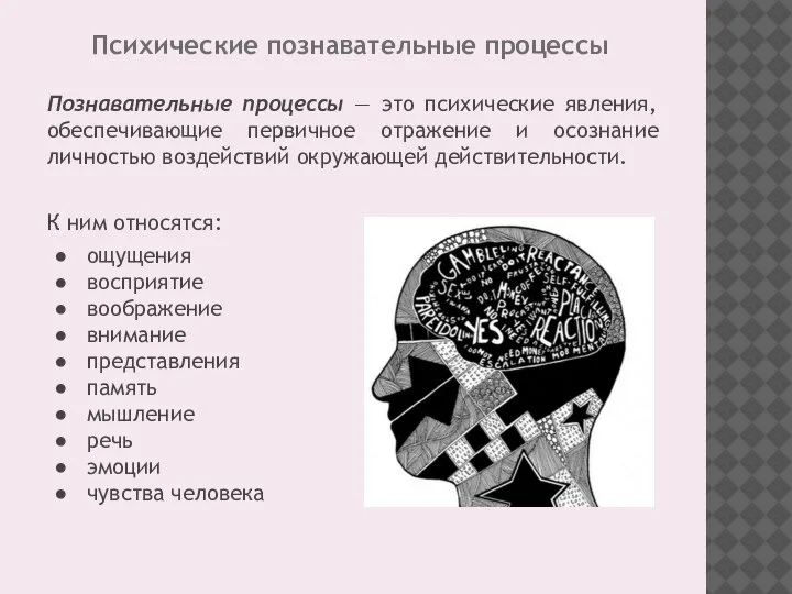 Психические познавательные процессы Познавательные процессы — это психические явления, обеспечивающие первичное отражение